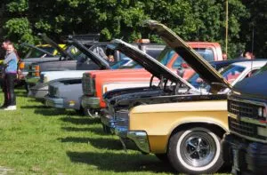 Reihe von Autos mit geöffneten Motorhauben auf Wiese.