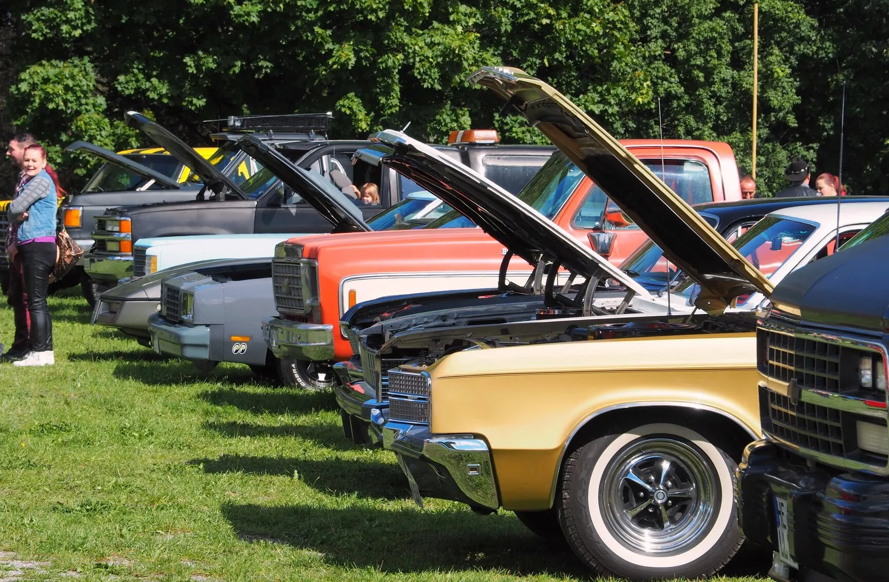 Reihe von Autos mit geöffneten Motorhauben auf Wiese.