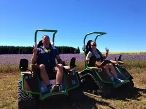 Menschen fahren elektrisch durch Lavendelwiese.